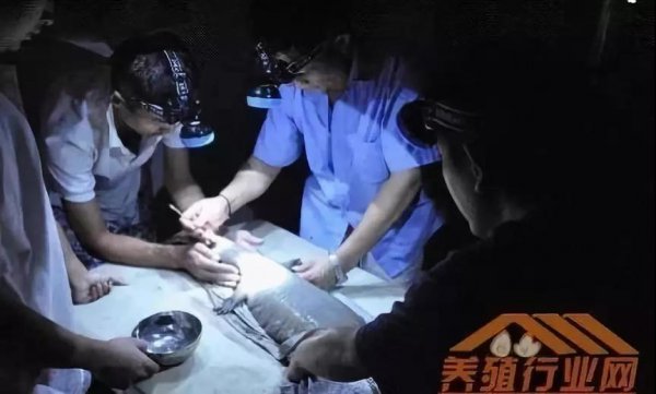 資本試水區(qū)塊鏈生物科技+大健康，場(chǎng)景應(yīng)用時(shí)代已然來(lái)臨！
